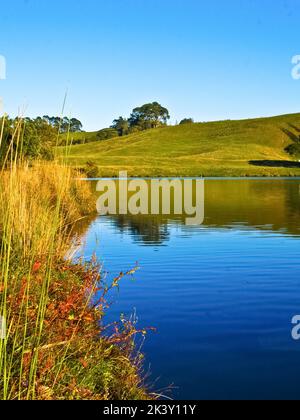 Eau et verdure du lac bleu vif autour du lac McLaren Falls, Tauranga. Banque D'Images