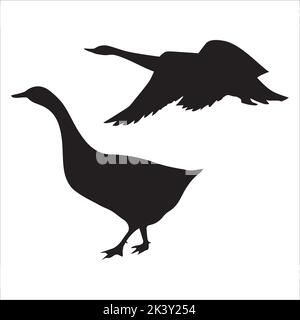 Ensemble vectoriel de silhouettes de cygnes Illustration isolée sur fond blanc Illustration de Vecteur