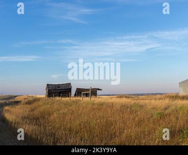 Deux cimetières abandonnés (hangars à grain) sur le sentier des dinosaures du Nord, dans les régions rurales de l'Alberta, au Canada. Banque D'Images