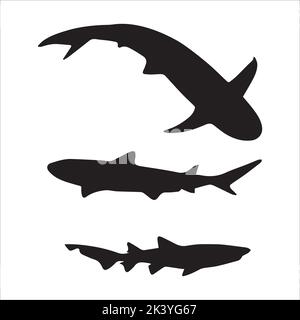 Ensemble vectoriel de silhouettes Sharks Illustration isolée sur fond blanc Illustration de Vecteur