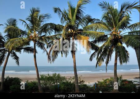 Paysage de mer avec des cocotiers dans le district de Karde Ratnagiri état Maharashtra Inde Banque D'Images