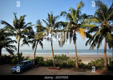 Paysage de mer avec des cocotiers dans le district de Karde Ratnagiri état Maharashtra Inde Banque D'Images