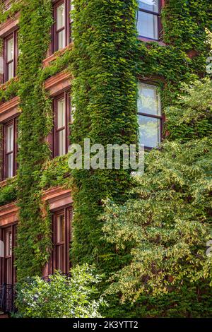 Coin pittoresque dans East Village, Manhattan, New York, États-Unis Banque D'Images