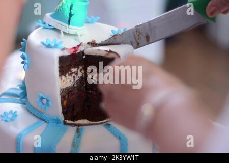 Gâteau à l'orignal au chocolat et à la vanille en tranches sur une assiette, fond blanc. Banque D'Images