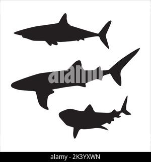 Ensemble vectoriel de silhouettes Sharks Illustration isolée sur fond blanc Illustration de Vecteur