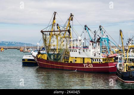 Chalutiers de pêche commerciale dans le port extérieur. Brixham, Devon, Angleterre, Royaume-Uni, Grande-Bretagne Banque D'Images