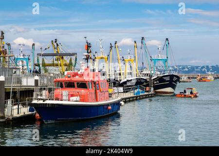 Bateau-pilote et flotte de pêche commerciale dans le port extérieur. Brixham, Devon, Angleterre, Royaume-Uni, Grande-Bretagne Banque D'Images
