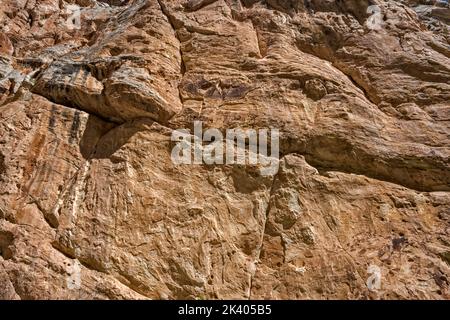 Mur de grès Weber à Box Canyon, près de la cabine Josie Morris, monument national des dinosaures, Utah, États-Unis Banque D'Images