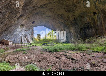La grotte géante de Devetashka avec un écosystème incroyable à l'intérieur. Situé près de la ville de Lovech en Bulgarie. Banque D'Images