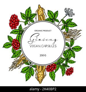 Cadre coloré au ginseng. Illustration vectorielle botanique dessinée à la main dans un style d'esquisse. Design pour logo, emballage, étiquette, badge. Milieu de médecine de fines herbes Illustration de Vecteur