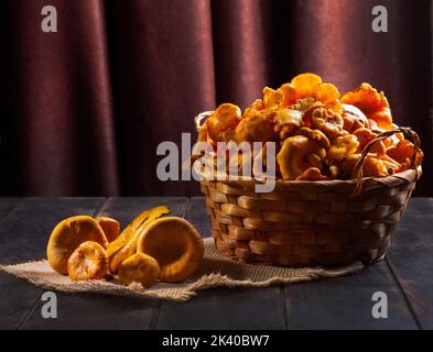 Chanterelles fraîches rassemblées dans la forêt, dans un panier en osier et sur fond de bois. Banque D'Images