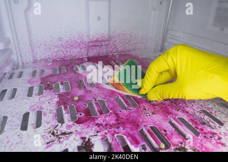 Dégivrage et nettoyage du congélateur. Une femme en gants de latex essuie l'eau de fonte et la saleté avec une éponge. Faible profondeur de champ. Espace pour le texte. Banque D'Images