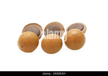 Bonbons au caramel à la noisette et au chocolat Banque D'Images