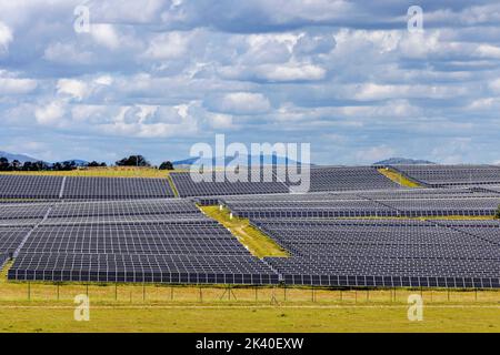 Installations solaires à grande échelle sur les anciens pâturages, Espagne, Estrémadure, Malpartida de Caceres Banque D'Images
