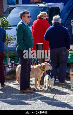 Homme avec deux chiens attendant sur le marché de rue de Framingham dans le Suffolk Angleterre Banque D'Images