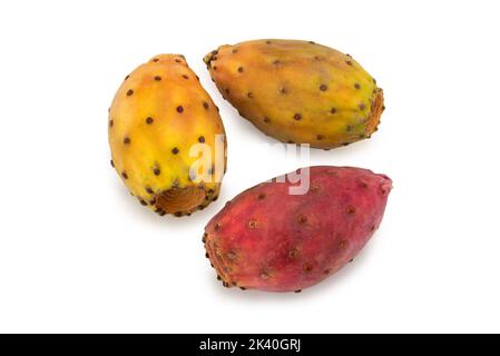 Poires piqueuses, orange, rose rouge et jaune opuntia, isolées sur blanc, chemin d'écrêtage Banque D'Images