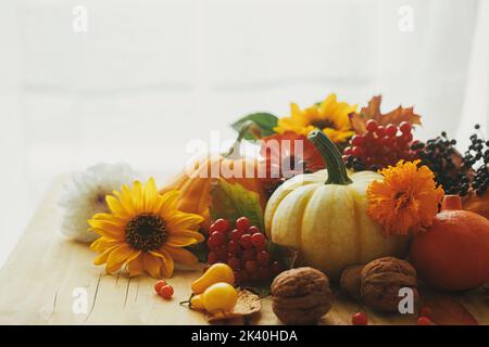 Joyeux Thanksgiving ! Citrouilles, fleurs, baies et noix sur une table en bois rustique contre la fenêtre. Carte de vœux Seasons, espace pour le texte. Toujours en automne lif Banque D'Images