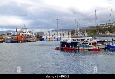 Vue sur le port et le port avec des bateaux commerciaux et récréatifs sur la côte ouest de l'Écosse à Mallaig, Morar, Écosse, Royaume-Uni. Banque D'Images