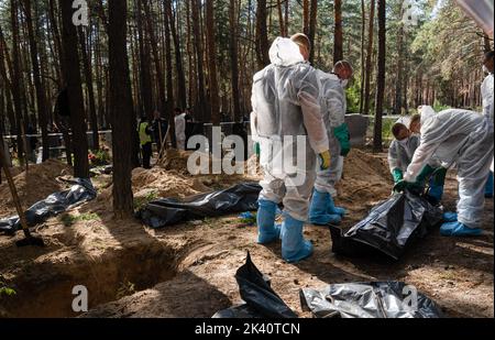 19 septembre 2022, Izyum, Ukraine: Un enquêteur portant un équipement de protection est vu en train de fouler un sac de corps après avoir exhumisé un corps. Un site de sépulture de masse a été trouvé dans la périphérie de la ville ukrainienne orientale, Izyum, région de Kharkiv, qui a été libérée de l'occupation russe il y a deux semaines. Au moins 445 nouvelles tombes ont été trouvées sur le site d'un cimetière existant alors que beaucoup n'ont que des numéros écrits sur la croix en bois. Tous les corps seront exhumés et envoyés pour examen médico-légal mais il a été dit lors des premières enquêtes que certains organes ont montré des signes de torture. (Image de crédit : © Ashley Chan/SOPA I Banque D'Images