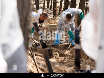 19 septembre 2022, Izyum, Ukraine: Les enquêteurs portant des engins de protection sont vus exhumanter des corps avec des pelles. Un site de sépulture de masse a été trouvé dans la périphérie de la ville ukrainienne orientale, Izyum, région de Kharkiv, qui a été libérée de l'occupation russe il y a deux semaines. Au moins 445 nouvelles tombes ont été trouvées sur le site d'un cimetière existant alors que beaucoup n'ont que des numéros écrits sur la croix en bois. Tous les corps seront exhumés et envoyés pour examen médico-légal mais il a été dit lors des premières enquêtes que certains organes ont montré des signes de torture. (Credit image: © Ashley Chan/SOPA Images via ZUMA Banque D'Images