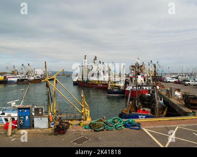 Quelques-uns de la flotte de pêche importante de Brixham de bateaux de jour locaux et de chalutiers à gros faisceau qui pêchent principalement dans la Manche Devon Angleterre Royaume-Uni anglais RIV Banque D'Images