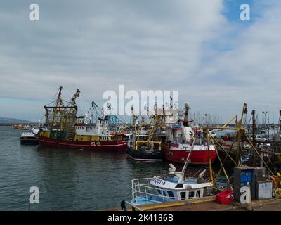 Quelques-uns de la flotte de pêche importante de Brixham de bateaux de jour locaux et de chalutiers à gros faisceau qui pêchent principalement dans la Manche Devon Angleterre Royaume-Uni anglais RIV Banque D'Images