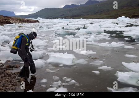 Plongeur entrant dans un lac de montagne couvert de icebergs litte Banque D'Images