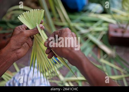 Artisanat sous forme de fleurs, d'arbres et d'autres formes faites de feuilles de palmier. Swapan, et ses assistants, Milan et Ripon, ont utilisé ce talent Banque D'Images