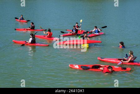 Espagne, Madrid. Kayakistes sur le lac El Retiro, par le monument à Alfonso XII, parc El Retiro. Banque D'Images