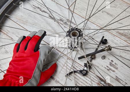 Démontage et graissage avec de l'huile des roulements de roue de bicyclette. Réparation de vélo à faire soi-même Banque D'Images