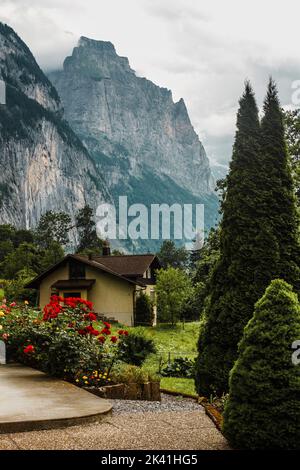 Cour de chalet traditionnelle dans la vallée de Lauterbrunnen, Suisse. Alpes suisses. Village en montagne. Jardin, fleurs et rochers. Banque D'Images