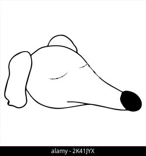 Portrait vectoriel d'un chien de chasse qui soupire dans un style de dessin animé Doodle. Race russe de borzoï. Illustration PET dans le style de dessin au trait. Illustration de Vecteur