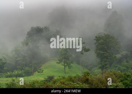 Paysage de montagne tropical pittoresque avec brouillard sur la forêt pendant la saison de la mousson, Chiang Dao, Chiang Mai, Thaïlande Banque D'Images