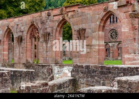 Abbaye de Hirsau (ancienne abbaye bénédictine) : ruine du cloître, près de Calw dans la Forêt Noire du Nord, Bade-Wurtemberg, Allemagne Banque D'Images