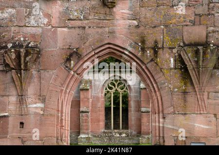 Abbaye de Hirsau (ancienne abbaye bénédictine) : ruine du cloître, près de Calw dans la Forêt Noire du Nord, Bade-Wurtemberg, Allemagne Banque D'Images