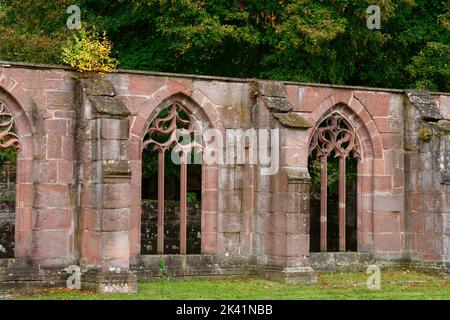 Abbaye de Hirsau (ancienne abbaye bénédictine) : ruine du cloître, près de Calw dans la Forêt Noire du Nord, Bade-Wurtemberg, Allemagne Banque D'Images