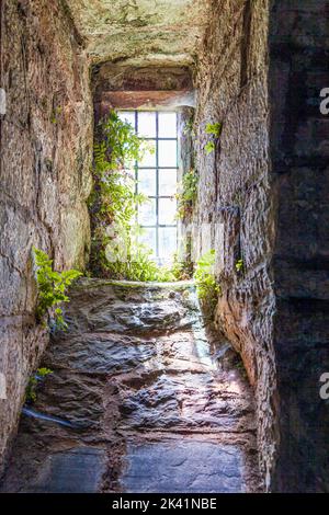 Fougères et toiles d'araignée dans une petite fenêtre dans la petite église isolée de Stoke Pero dans le parc national d'Exmoor, Somerset Royaume-Uni Banque D'Images