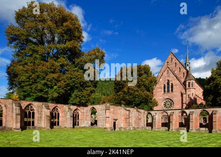 Abbaye de Hirsau (ancienne abbaye bénédictine) : ruines du cloître et chapelle de la Dame, près de Calw dans la Forêt Noire du Nord, Bade-Wurtemberg, Allemagne Banque D'Images