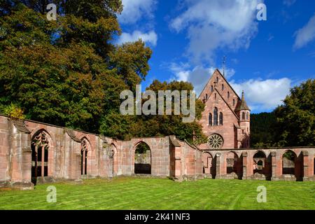 Abbaye de Hirsau (ancienne abbaye bénédictine) : ruines du cloître et chapelle de la Dame, près de Calw dans la Forêt Noire du Nord, Bade-Wurtemberg, Allemagne Banque D'Images