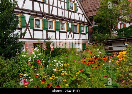 Maison à colombages dans la vieille ville de Zavelstein (partie de Bad Teinach-Zavelstein) dans la Forêt Noire du Nord, district de Calw, Allemagne Banque D'Images