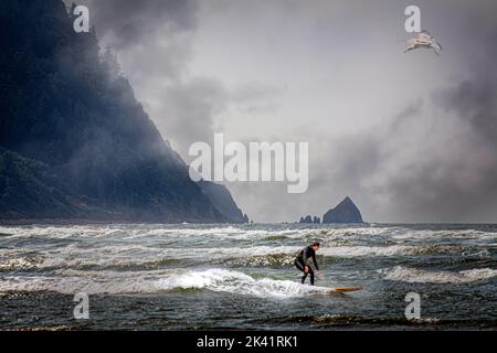 un surfeur sur les vagues lors d'une journée de tempête Banque D'Images