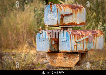 Anciennes boîtes aux lettres américaines rouillées montées sur un poteau Banque D'Images