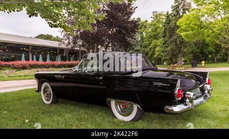 DEARBORN, MI/USA - 15 JUIN 2019 : une voiture Thunderbird 1955 de Ford, le spectacle de voitures Henry Ford (THF) Motor Muster, à Greenfield Village, près de Detroit. Banque D'Images