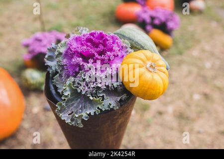 Citrouilles Halloween décoration de jardin avec choux ornementaux ou cale à fleurs et petite citrouille dans le parc. Gros plan, mise au point sélective. Halloween et Thanksgiving décoration naturelle de bricolage Banque D'Images