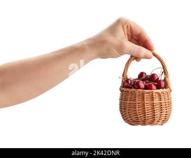 cerises rouges dans le chemin de la main isolées sur blanc Banque D'Images