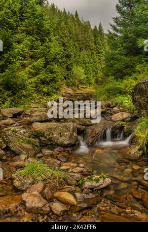 ruisseau Svatopetrsky près de la ville de Spindleruv Mlyn dans les montagnes de Krkonose en été Banque D'Images