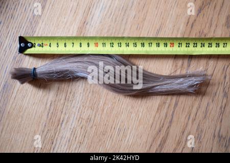 Coupe longue de cheveux de queue de cheval blonde naturels attachés ensemble à côté de ruban mesure. Banque D'Images