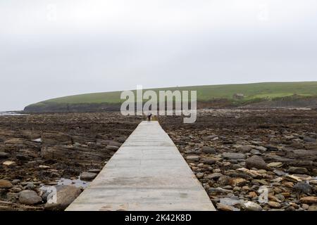 Touristes marchant le long de la voie de béton à l'île de Brough de Birsay, le continent d'Orkney, Écosse, Royaume-Uni Banque D'Images