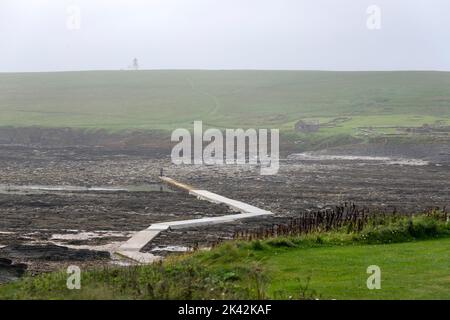 Touristes marchant le long de la voie de béton à l'île de Brough de Birsay, le continent d'Orkney, Écosse, Royaume-Uni Banque D'Images