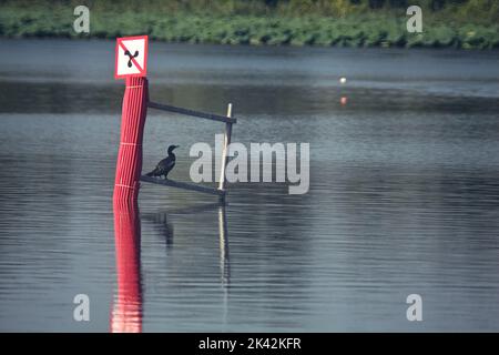 Bouée sur un lac au coucher du soleil Banque D'Images